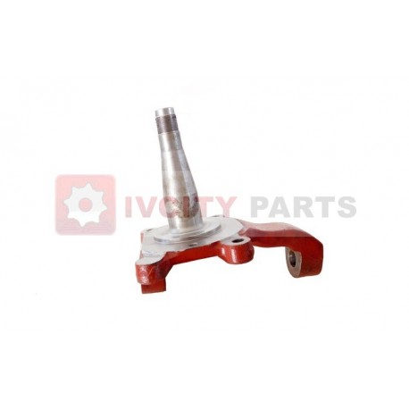 IV8578823 FUSEE PORTE MOYEU DAILY 1999