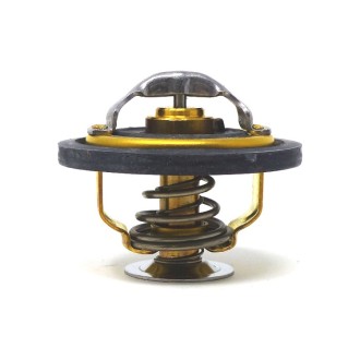 500329622 THERMOSTAT