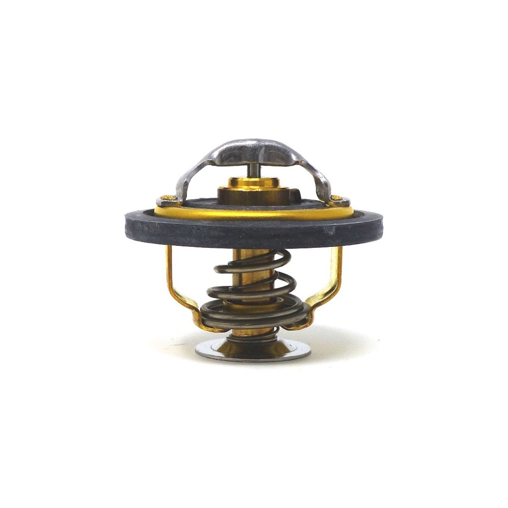 500329622 THERMOSTAT