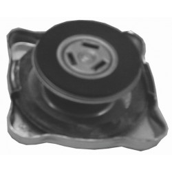 BOUCHON DE VASE D'EXPANSION 4845412